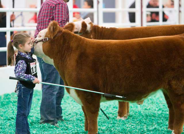 San Antonio Stock Show & Rodeo - FEBRUARY